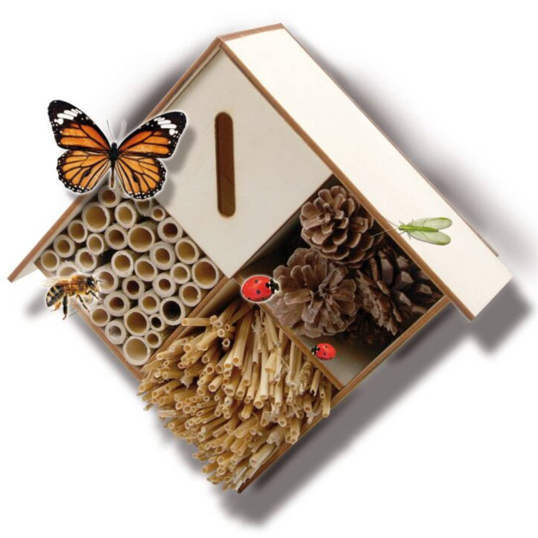 SES Creative - Explore Insectenhotel