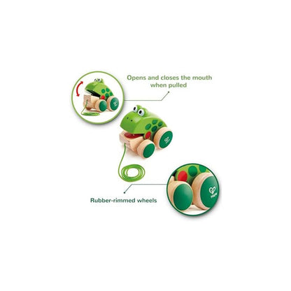 Hape - Grenouille Jouet en Bois - Jouet à Tirer et Pousser