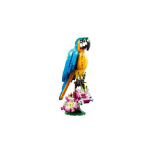 LEGO - 31136 - Le Perroquet Exotique