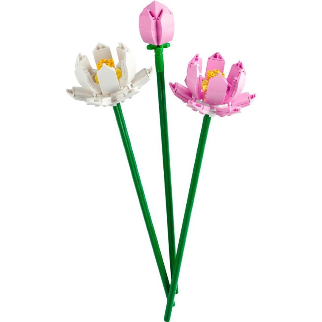 LEGO - Botanicals - Les Fleurs de Lotus