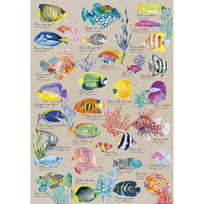 Sentosphère - PUZZLE 500 P - Les Poissons Exotiques
