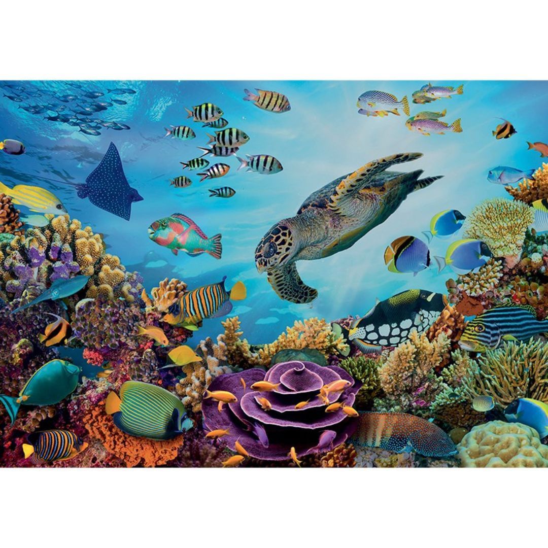 Sentosphère - PUZZLE 500 P XL - Fonds Marins