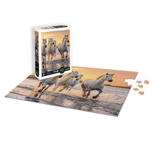 Sentosphère - PUZZLE 500 P XL - Chevaux en Camargue
