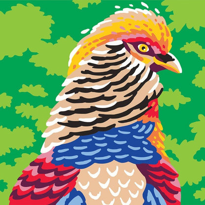Sentosphère - Colorizzy Oiseaux