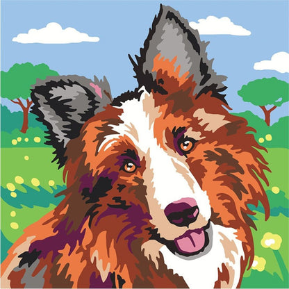 Sentosphère - Colorizzy Chiens