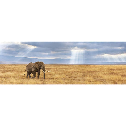 Clementoni - Puzzle Eléphant dans la Savane - 1000 Pièces