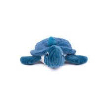 Les Déglingos– Tortue Maman/Bébé Bleu