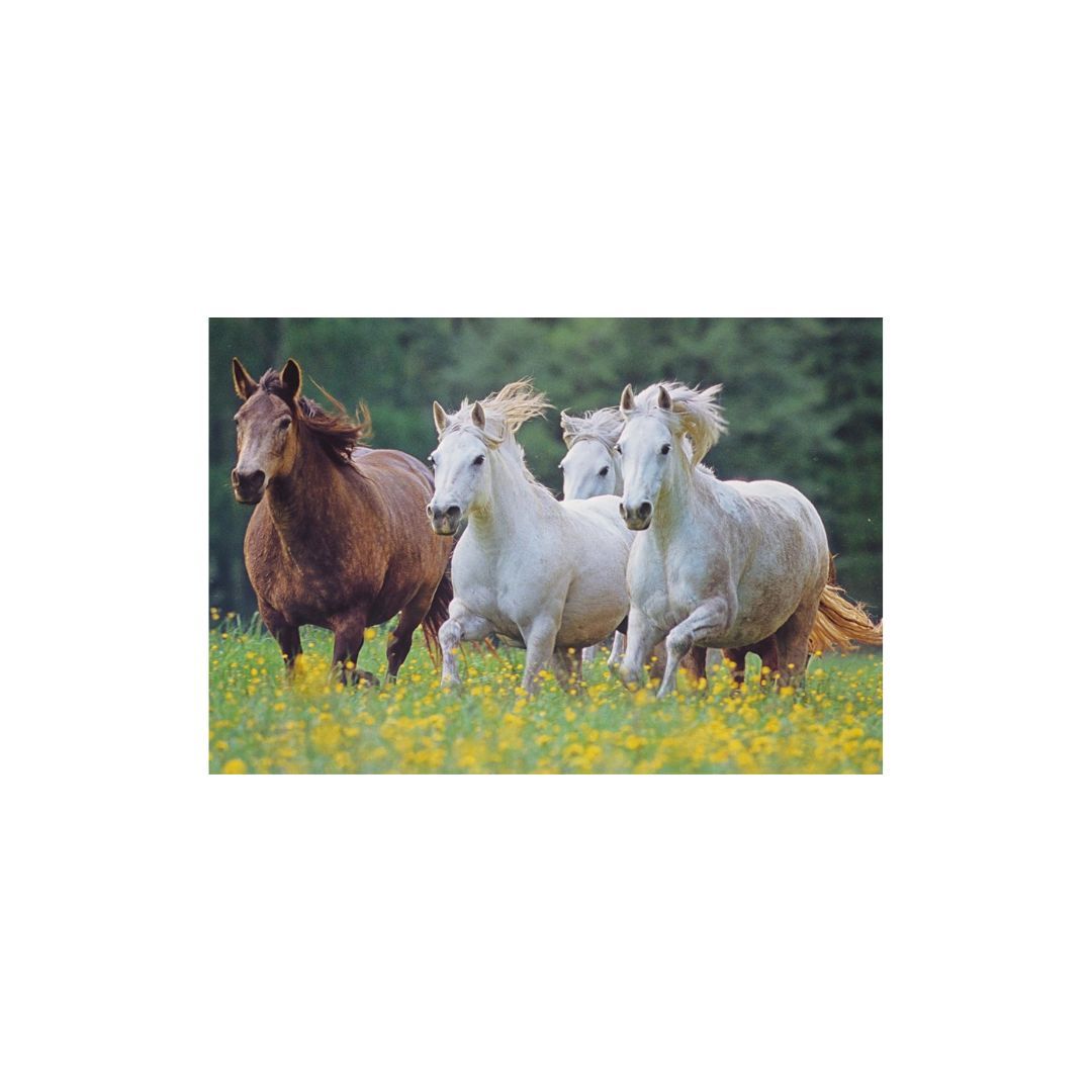Schmidt - Puzzle Classique Au Galop - 60 pièces
