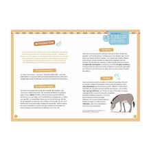 Auzou - À la découverte des chevaux – Coffret aimanté enfant