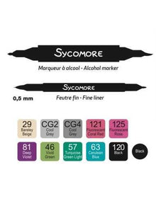 Au sycomore - 12 Marqueurs à Alcool Double Pointe + Feutre Fin Manga