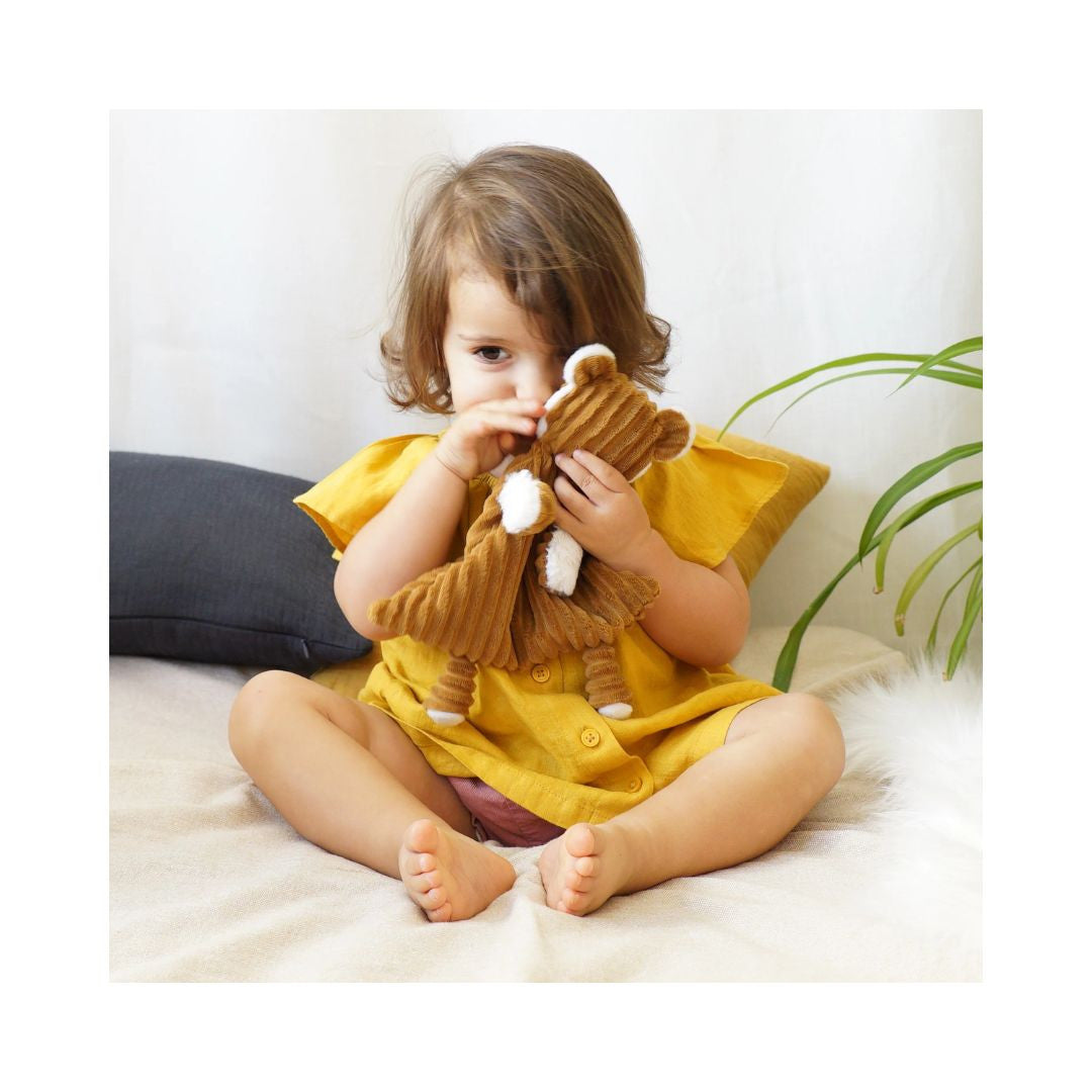 Les Déglingos – Doudou baby Speculos le tigre