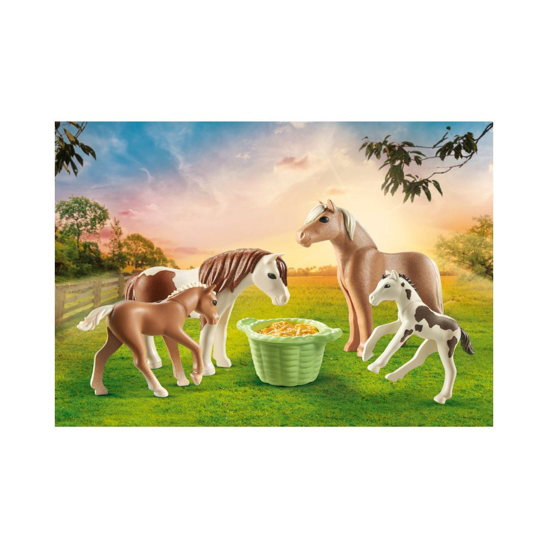 Playmobil - 71000 - 2 poneys islandais et poulains - Animaux & Nature - Country - Le poney club