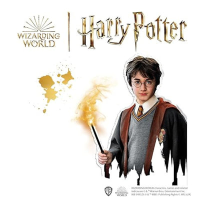 Moulage et peinture Harry Potter - SES CREATIVE - 09344