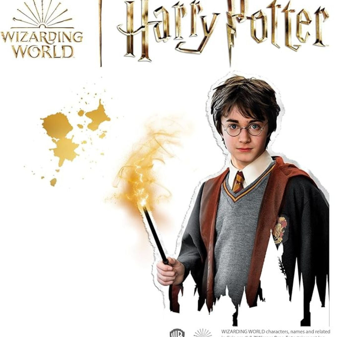 Peinture sur galets - Harry Potter - SES CREATIVE - 09341