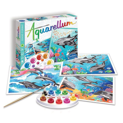 Sentosphère - Aquarellum Dauphins