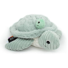 Les Déglingos - PTIPOTOS by SAUVENOU Tortue Maman/Bébé (Bleu Menthe)