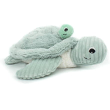 Les Déglingos - PTIPOTOS by SAUVENOU Tortue Maman/Bébé (Bleu Menthe)