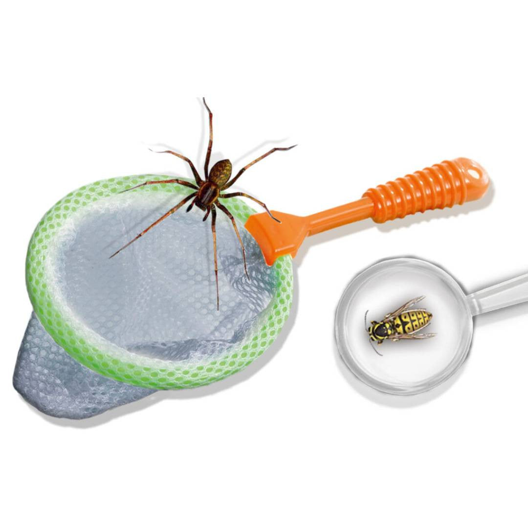 SES Creative - Explorateur d’insectes