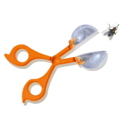 SES Creative - Explorateur d’insectes