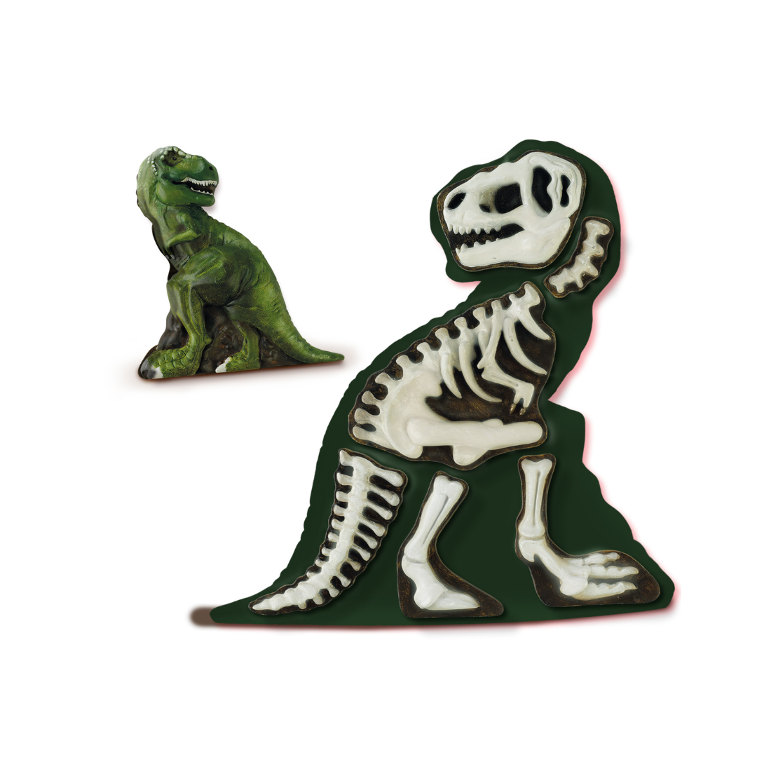 SES – Moulage et peinture – T-Rex avec squelette